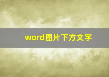 word图片下方文字