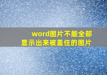 word图片不能全部显示出来被盖住的图片