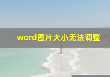 word图片大小无法调整