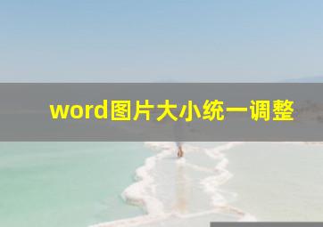 word图片大小统一调整