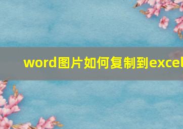 word图片如何复制到excel