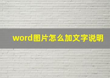 word图片怎么加文字说明