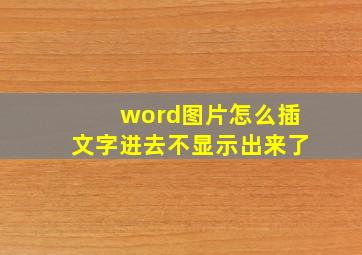 word图片怎么插文字进去不显示出来了