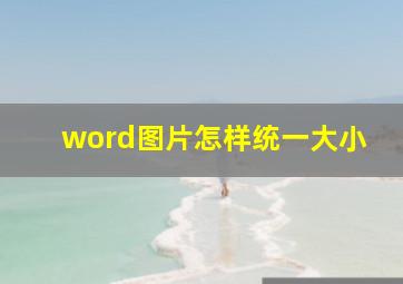 word图片怎样统一大小