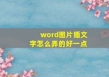 word图片插文字怎么弄的好一点