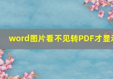 word图片看不见转PDF才显示