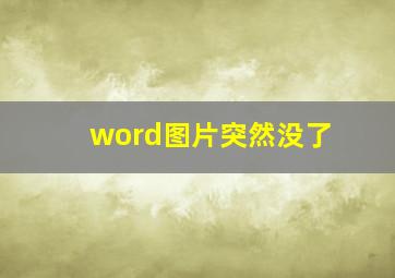 word图片突然没了