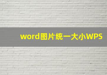 word图片统一大小WPS