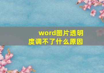 word图片透明度调不了什么原因