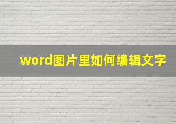 word图片里如何编辑文字