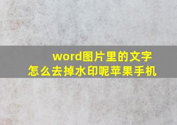 word图片里的文字怎么去掉水印呢苹果手机