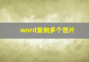 word复制多个图片