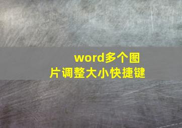 word多个图片调整大小快捷键