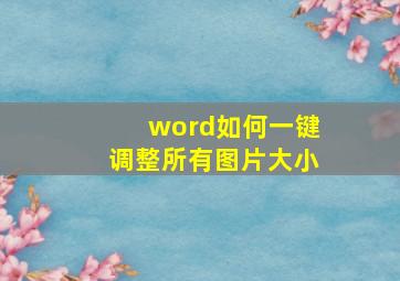 word如何一键调整所有图片大小