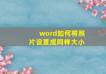 word如何将照片设置成同样大小