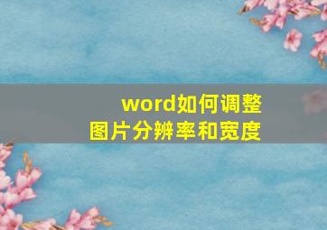 word如何调整图片分辨率和宽度