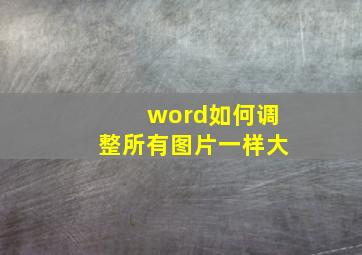 word如何调整所有图片一样大