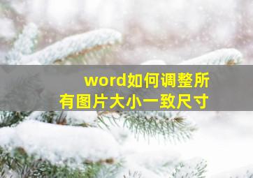 word如何调整所有图片大小一致尺寸