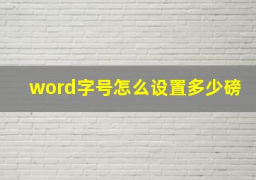 word字号怎么设置多少磅