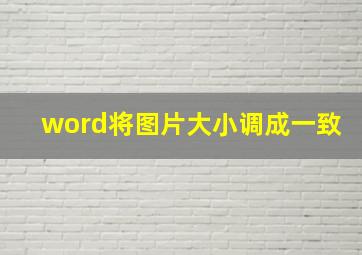 word将图片大小调成一致