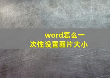 word怎么一次性设置图片大小