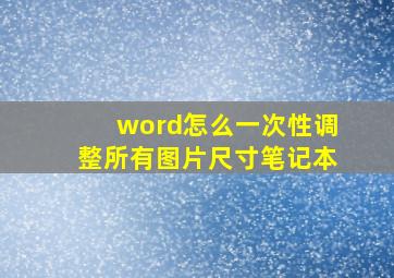 word怎么一次性调整所有图片尺寸笔记本