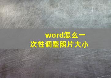 word怎么一次性调整照片大小