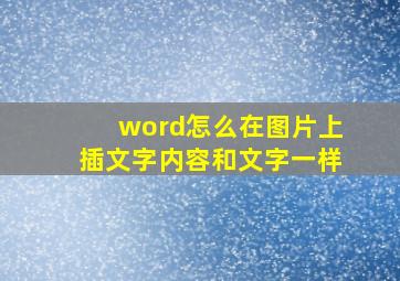 word怎么在图片上插文字内容和文字一样