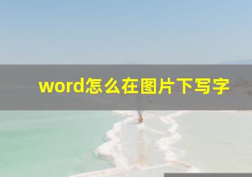 word怎么在图片下写字