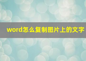 word怎么复制图片上的文字