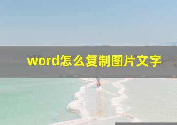 word怎么复制图片文字