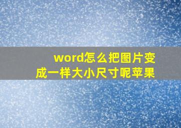 word怎么把图片变成一样大小尺寸呢苹果