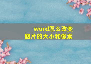 word怎么改变图片的大小和像素