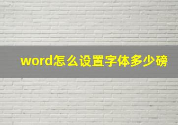 word怎么设置字体多少磅