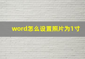 word怎么设置照片为1寸