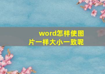 word怎样使图片一样大小一致呢