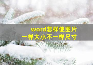 word怎样使图片一样大小不一样尺寸