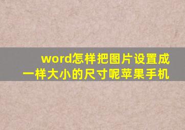 word怎样把图片设置成一样大小的尺寸呢苹果手机