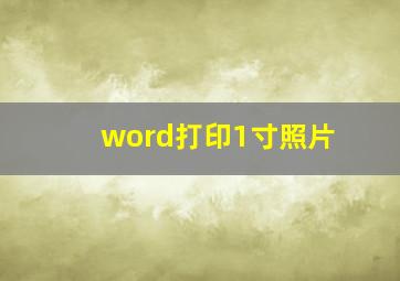 word打印1寸照片