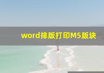 word排版打印M5版块