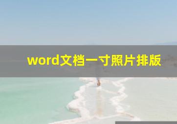 word文档一寸照片排版