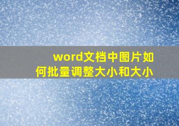 word文档中图片如何批量调整大小和大小