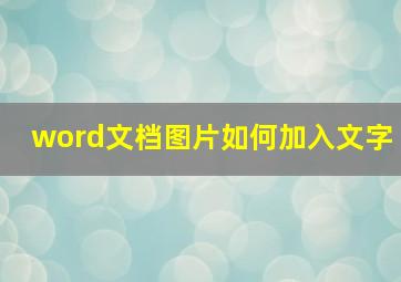 word文档图片如何加入文字