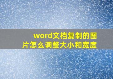 word文档复制的图片怎么调整大小和宽度