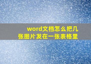 word文档怎么把几张图片发在一张表格里