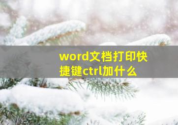 word文档打印快捷键ctrl加什么