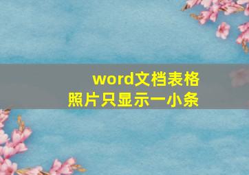 word文档表格照片只显示一小条