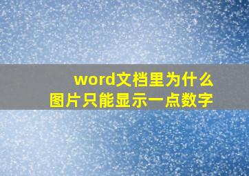 word文档里为什么图片只能显示一点数字