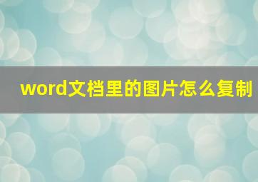 word文档里的图片怎么复制