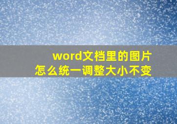 word文档里的图片怎么统一调整大小不变